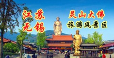 操日网站江苏无锡灵山大佛旅游风景区