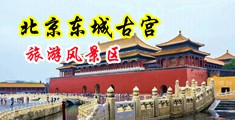 黄色片显示播放大鸡巴日骚逼逼中国北京-东城古宫旅游风景区